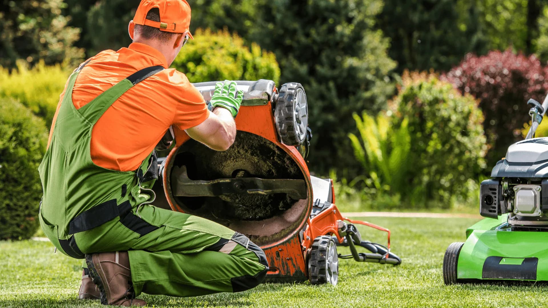Lawn Maintenance Services
