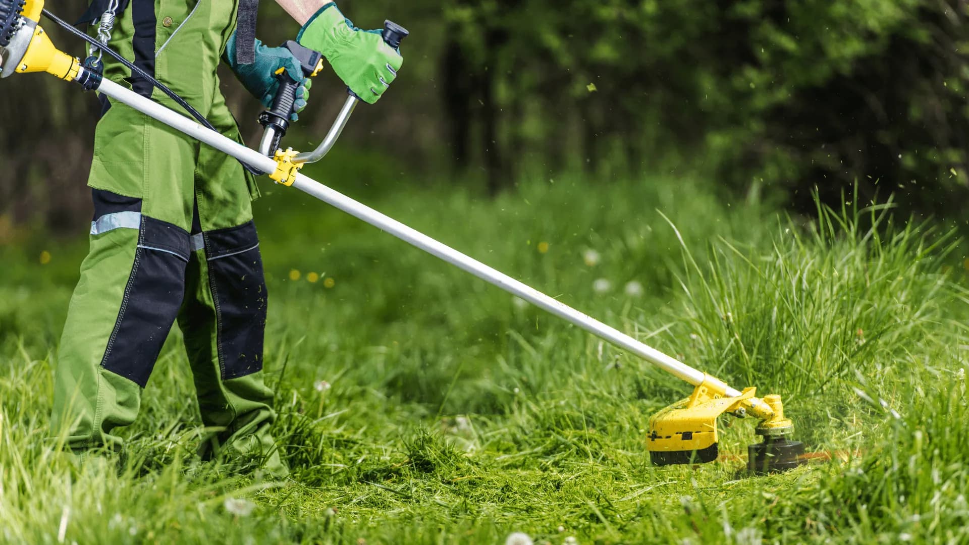 Lawn Maintenance Services