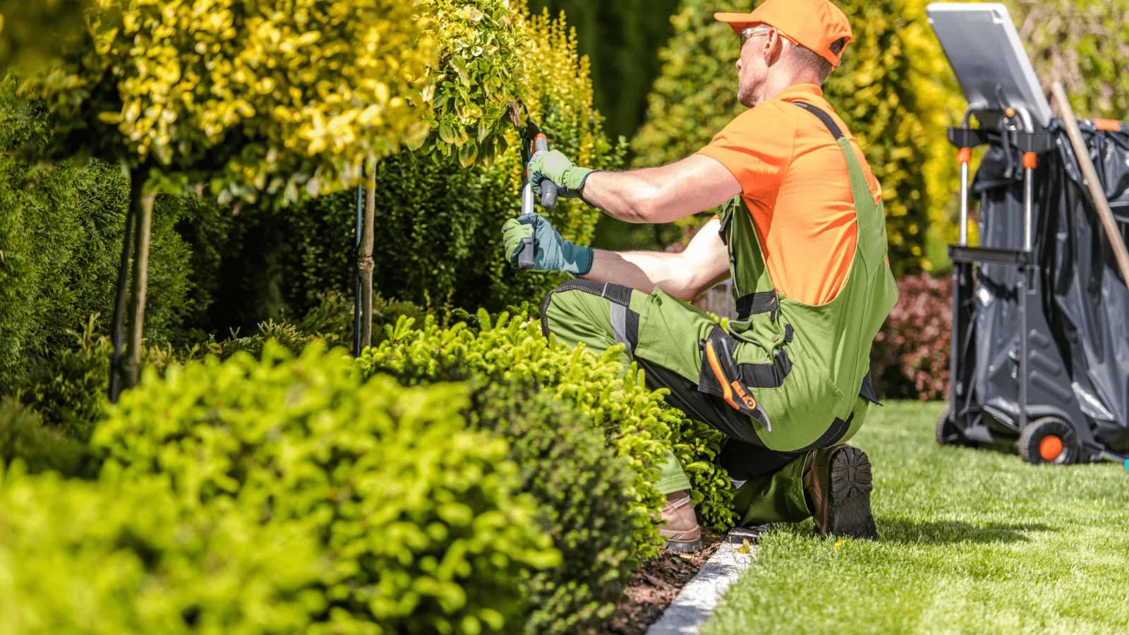 Landscaping Ideas That Add the Most Value to Your Home